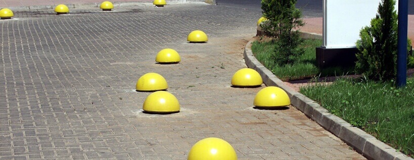 Park Mantarı